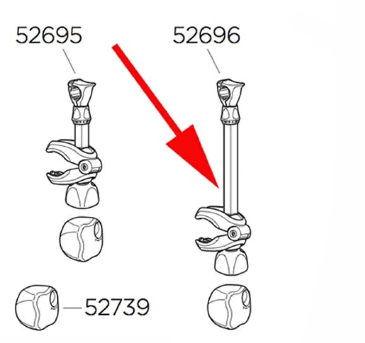 7313020074818