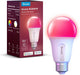 Govee H6004 LED -Glühbirne