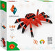 Alexander Toys Alexander – Origami 3D – Spinne – 149 Stück