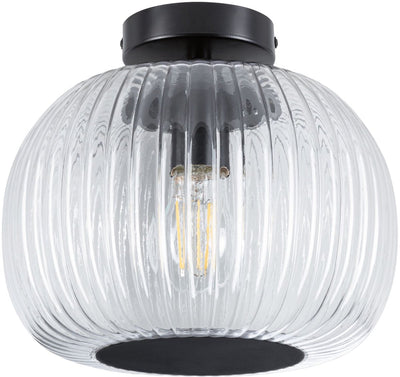 Paulmann LED-Deckenleuchte Ruya IP44 E27 230V max. 60W dimmbares Glas, schwarz matt