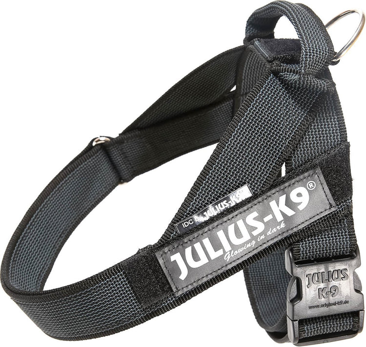 Julius K9 Julius-K9 IDC®Color Grey® Leinengeschirr, L – Größe 1, schwarz