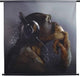 HD Collection Wandtuch-Affenkopfhörer 3x105x102cm