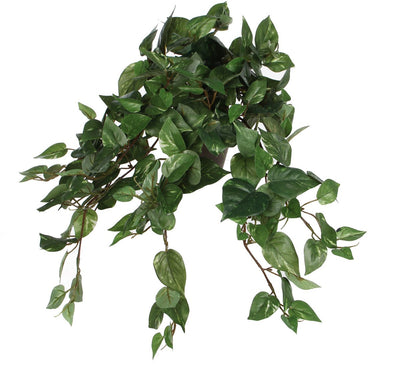 Glimmer-Dekorationen, künstliche Pflanze – Scindapsus-Drachen-Efeu – grün – L45 x H25 cm – Hängepflanze