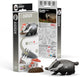 Eugy 3D-Puzzle – Dachs – wilde Tiere – nachhaltig – alle sammeln – 6 Jahre