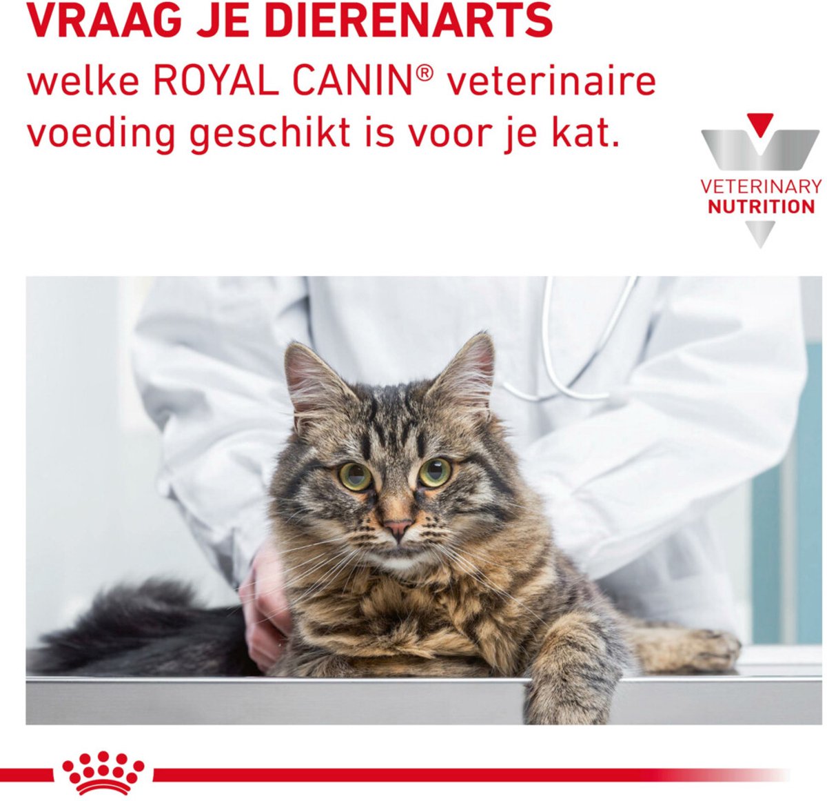 Veterinärdiät von Royal Canin