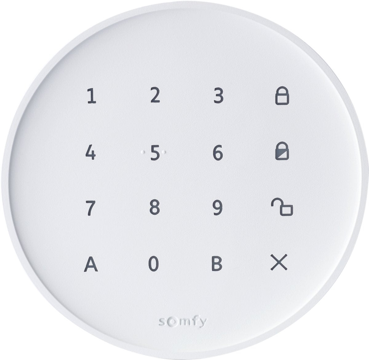 Somfy Home Alarm Essential Keypad – Zahlencode zum Ein- und Ausschalten des Funkalarmsystems – Sie erhalten eine Benachrichtigung, wenn der Code verwendet wird