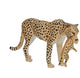 Mojo Wildlife Cheetah Frau mit Cub 387167