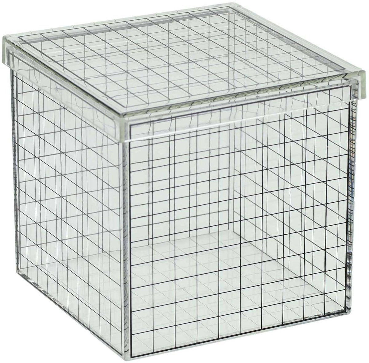 Transparenter 3D-Gitterwürfel - 10x10x10 cm