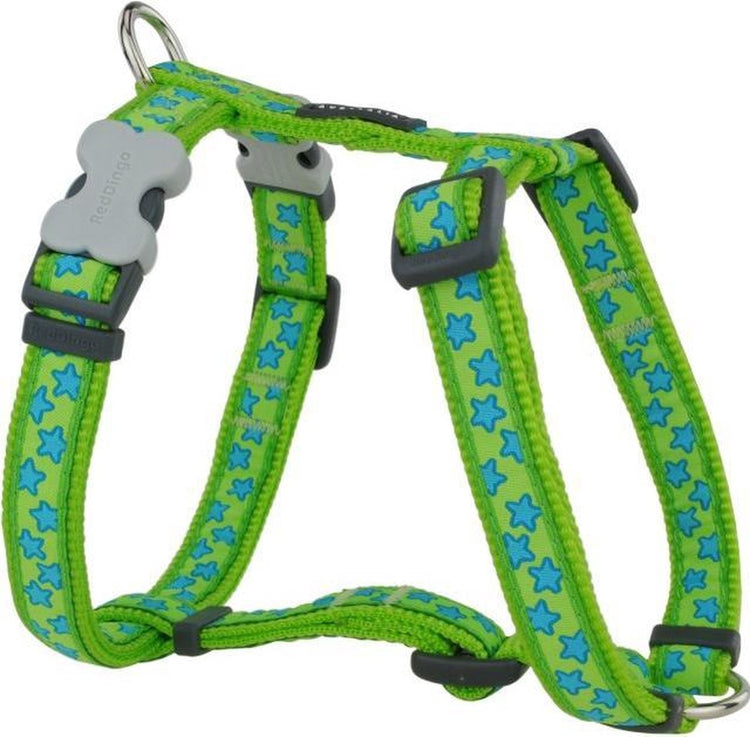 Red Dingo Hundegeschirr, 15 mm, Halsumfang 30–48 cm, Körperumfang 36–54 cm, dh-st-lg-15