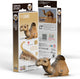 Eugy 3D-Puzzle – Kamel – wilde Tiere – nachhaltig – alle sammeln – 6 Jahre