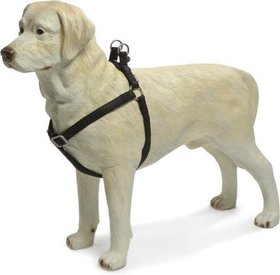 Beeztees - Hundegeschirr - Mac-Leder - Schwarz - 35-60 cm