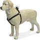 Beeztees - Hundegeschirr - Mac-Leder - Schwarz - 35-60 cm
