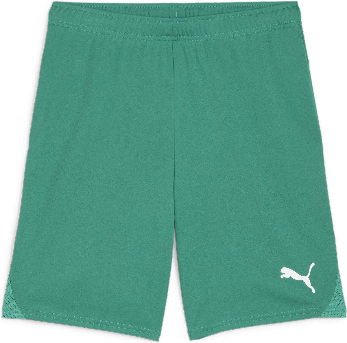 Puma Teamgoal Shorts Herren Sporthose - Sportgrün-Weiß