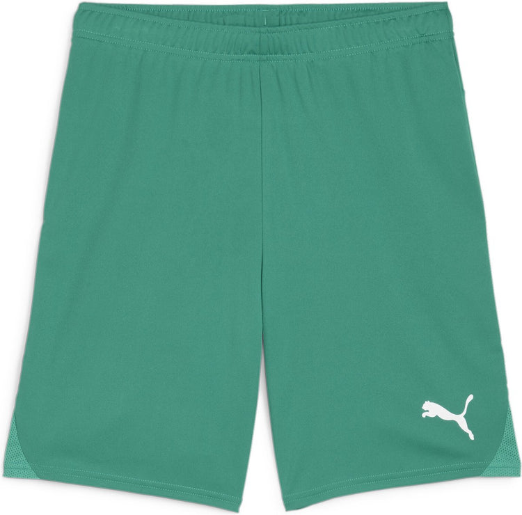 Puma Teamgoal Shorts Herren Sporthose - Sportgrün-Weiß