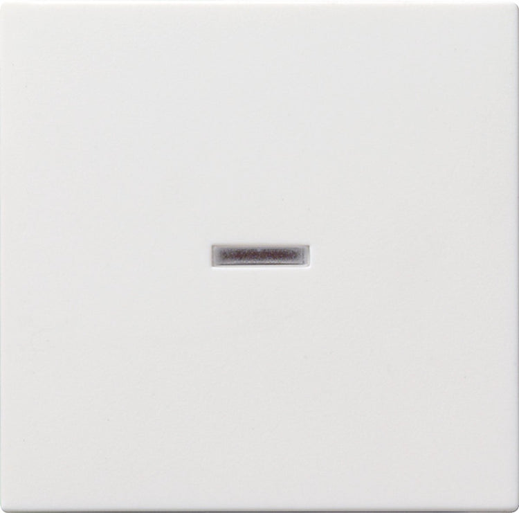 Gira System 55 Bedienelement Zentralplatte Schaltmaterial - 029003 - e2fuk