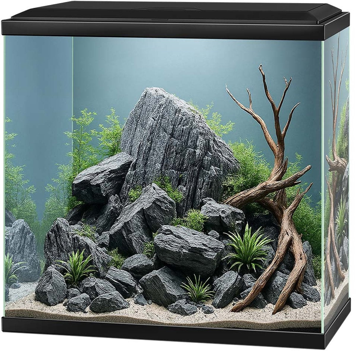 Ciano Aqua 30 LED Aquarium 25 Liter 40 x 20 x 45,5 cm schwarz