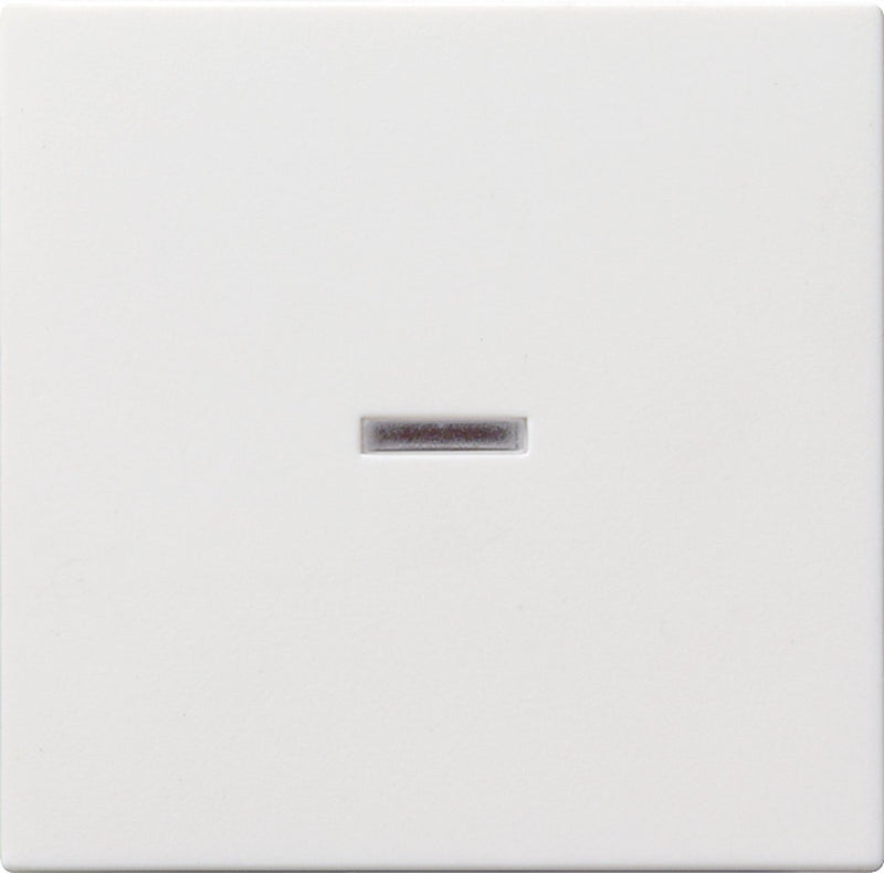 Gira System 55 Bedienelement Zentralplatte Schaltmaterial - 029003 - e2fuk