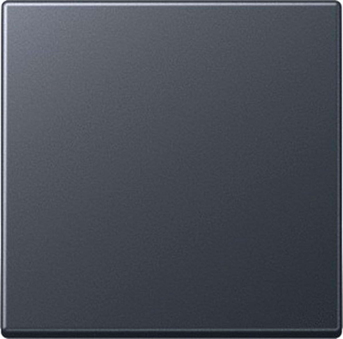 Jung Bedienelement Zentralplattenschaltanlage - A590bfanm - E365a
