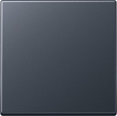 Jung Bedienelement Zentralplattenschaltanlage - A590bfanm - E365a