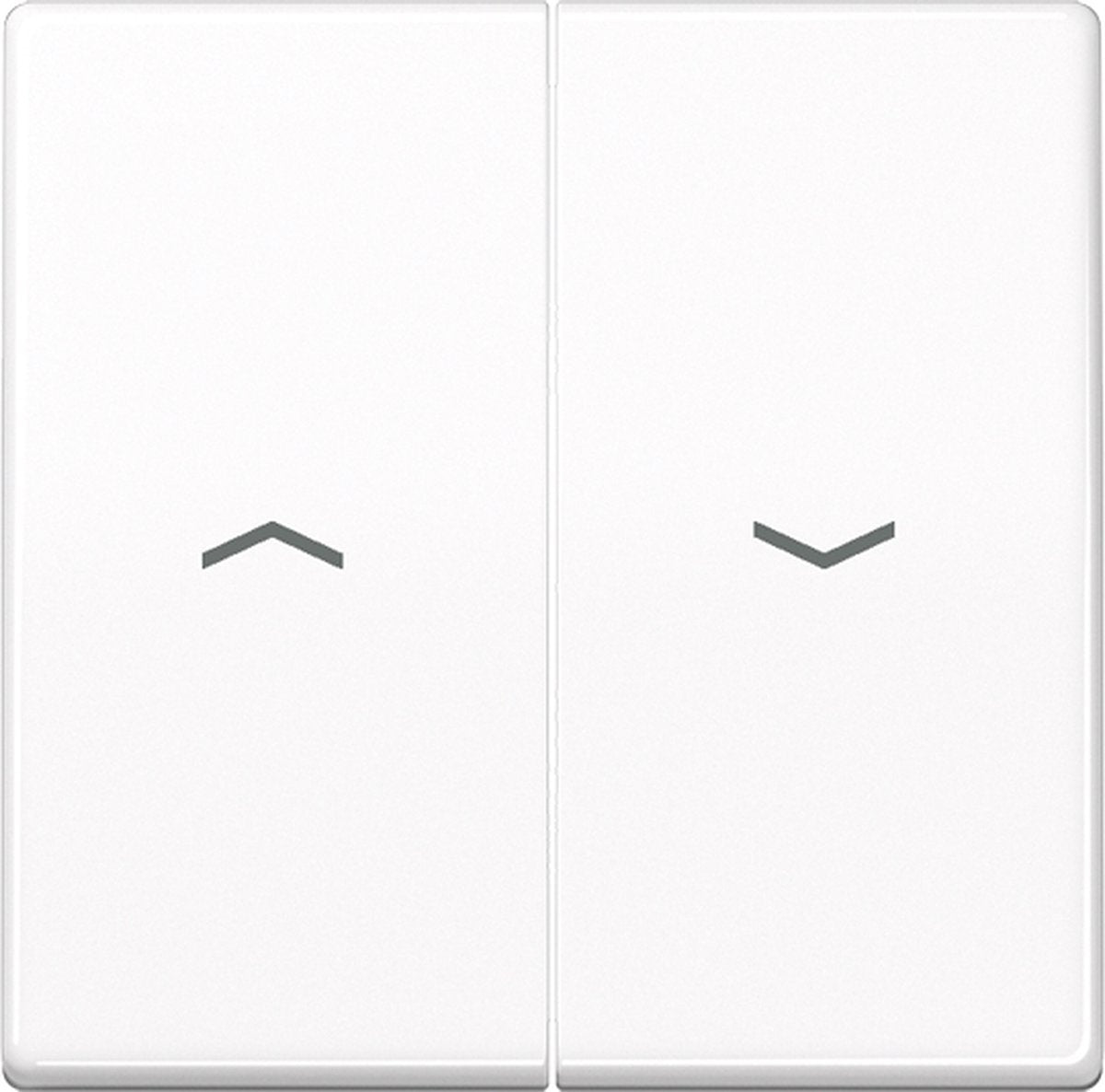 Jung AS500 Schaltelement Zentralplatte – AS591-5PWW – E32R4