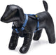 Beeztees Parinca Premium Y-Geschirr – Hundegeschirr – Nylon – Blau – 37–40 cm x 15 mm
