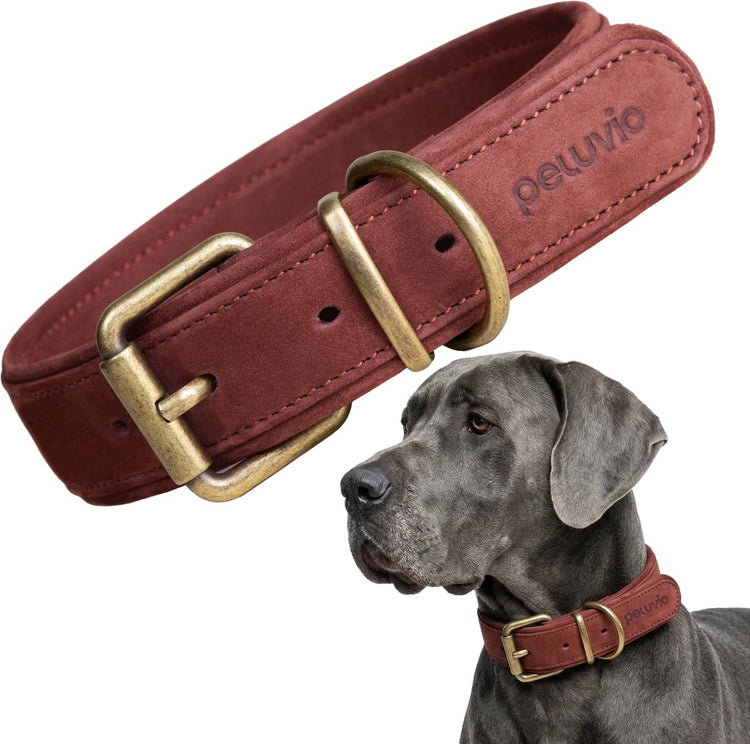 Peluvio Rexor – Hundehalsband aus Leder – braun – L-XL 53-63 cm – 4 cm breit – verstellbares Halsband aus Rindsleder – Schnalle aus Kupfer – für sehr große Hunde