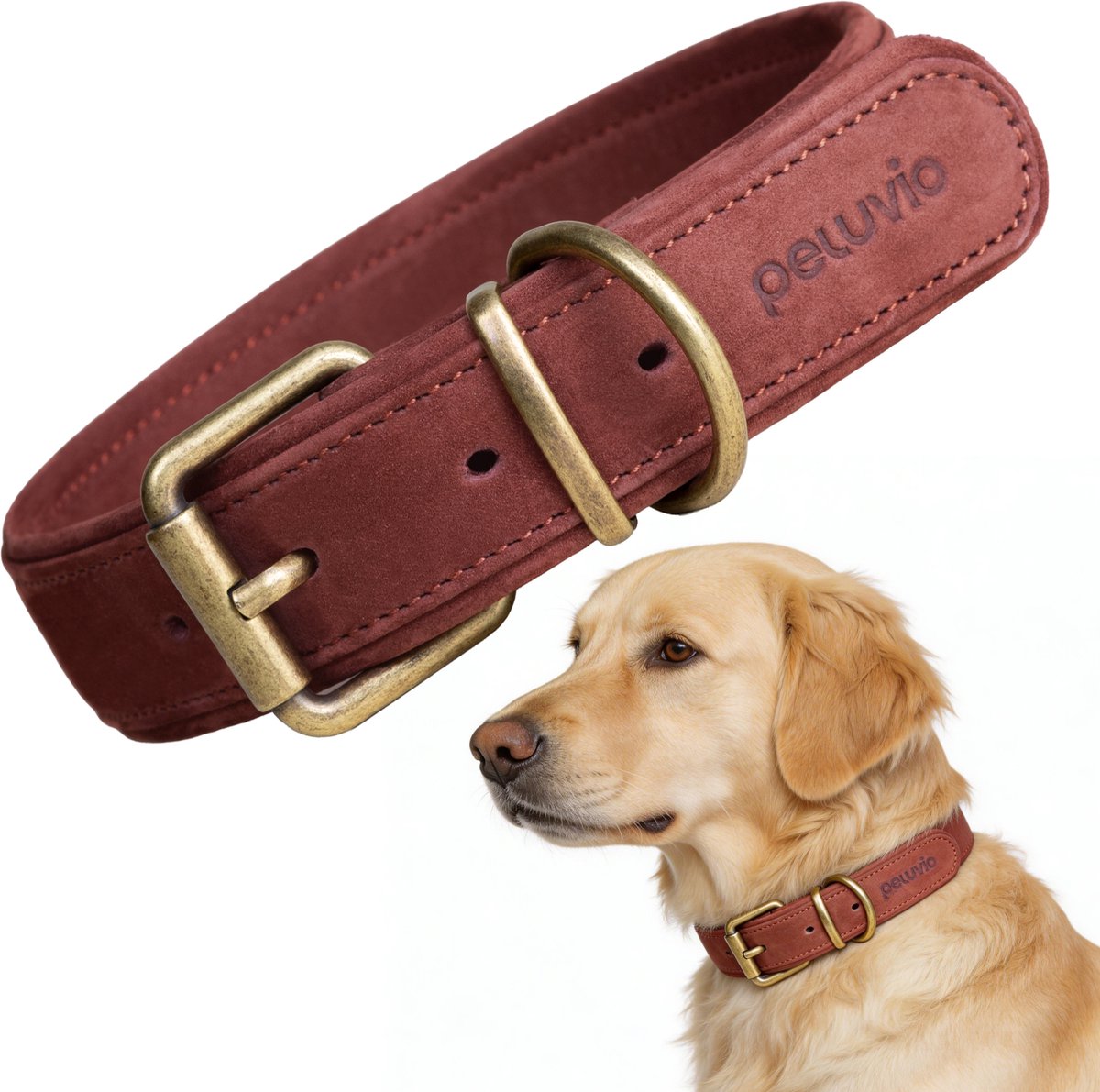 Peluvio Rexor – Hundehalsband aus Leder – braun – L 44-54 cm – 4 cm breit – verstellbares Halsband aus Rindsleder – Schnalle aus Kupfer – für große Hunde