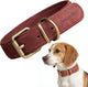 Peluvio Rexor – Hundehalsband aus Leder – braun – M 36-44 cm – 3 cm breit – verstellbares Halsband aus Rindsleder – Schnalle aus Kupfer – für mittelgroße Hunde