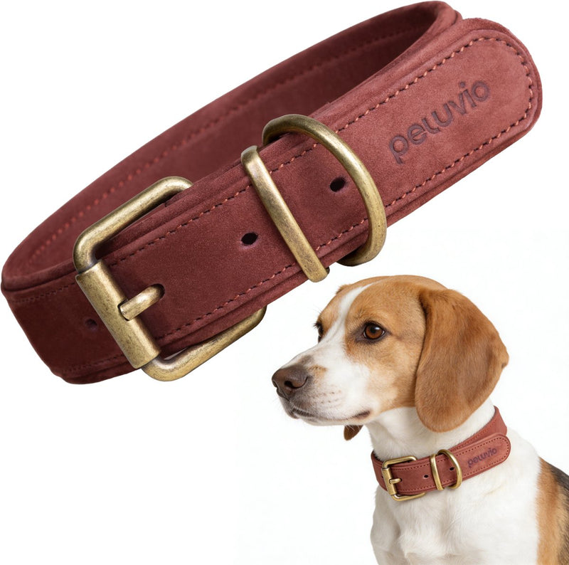 Peluvio Rexor – Hundehalsband aus Leder – braun – M 36-44 cm – 3 cm breit – verstellbares Halsband aus Rindsleder – Schnalle aus Kupfer – für mittelgroße Hunde