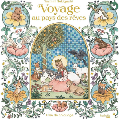 Hachette Heroes voyage au pays des reves live de coloriage – Yoshimi Sekiguchi – Malbuch für Erwachsene