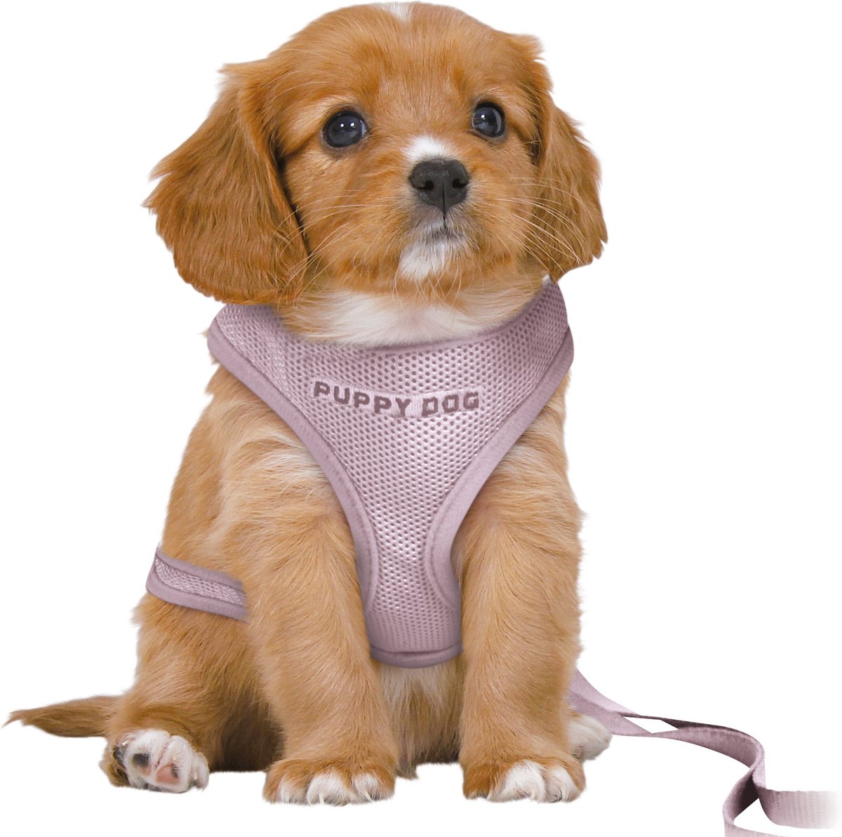 Trixie Dog Eigen Junior Welpe Softhuik mit Riem Lila
