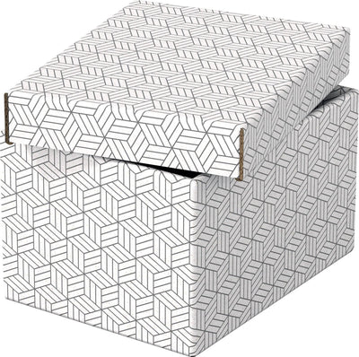 Aufbewahrungsbox Esselte 628280 klein 7 l weiß