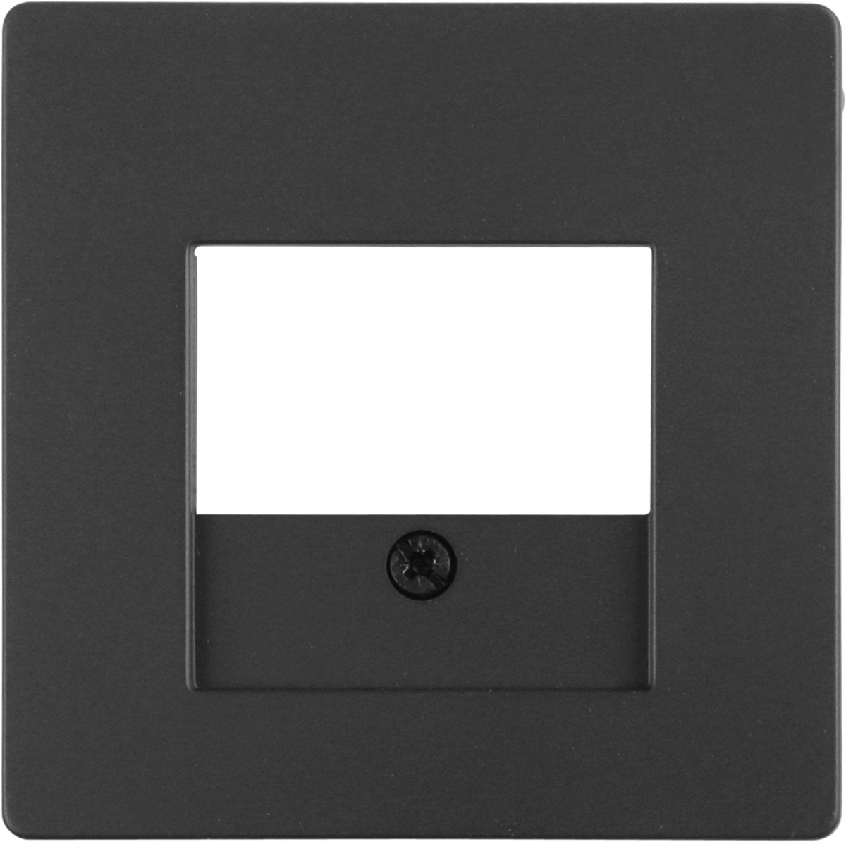 Berker Q1 Abdeckplatte - TAE USB - Edelstahlfarbe