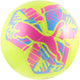 Puma Raubkatzenball