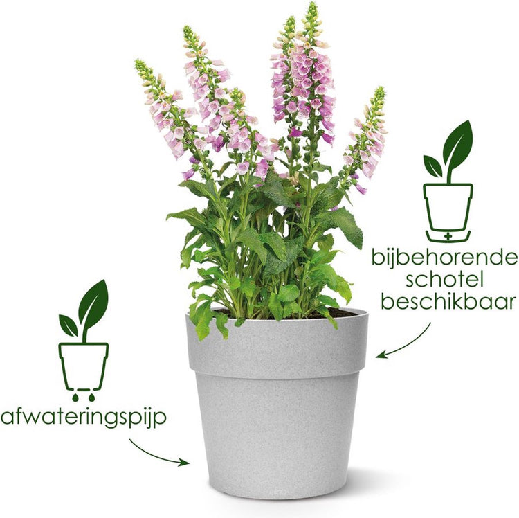 Elho vibia gerade rund 25 - Blumentopf für den Außenbereich - ø 24,3 x H 23,2 cm - Anthrazit