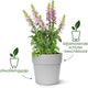 Elho vibia gerade rund 25 - Blumentopf für den Außenbereich - ø 24,3 x H 23,2 cm - Anthrazit