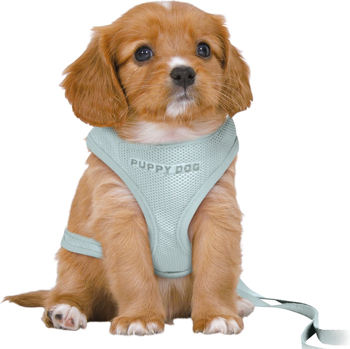 Trixie Dog Eigen Junior Welpe Softhire mit Riem Mintgroen