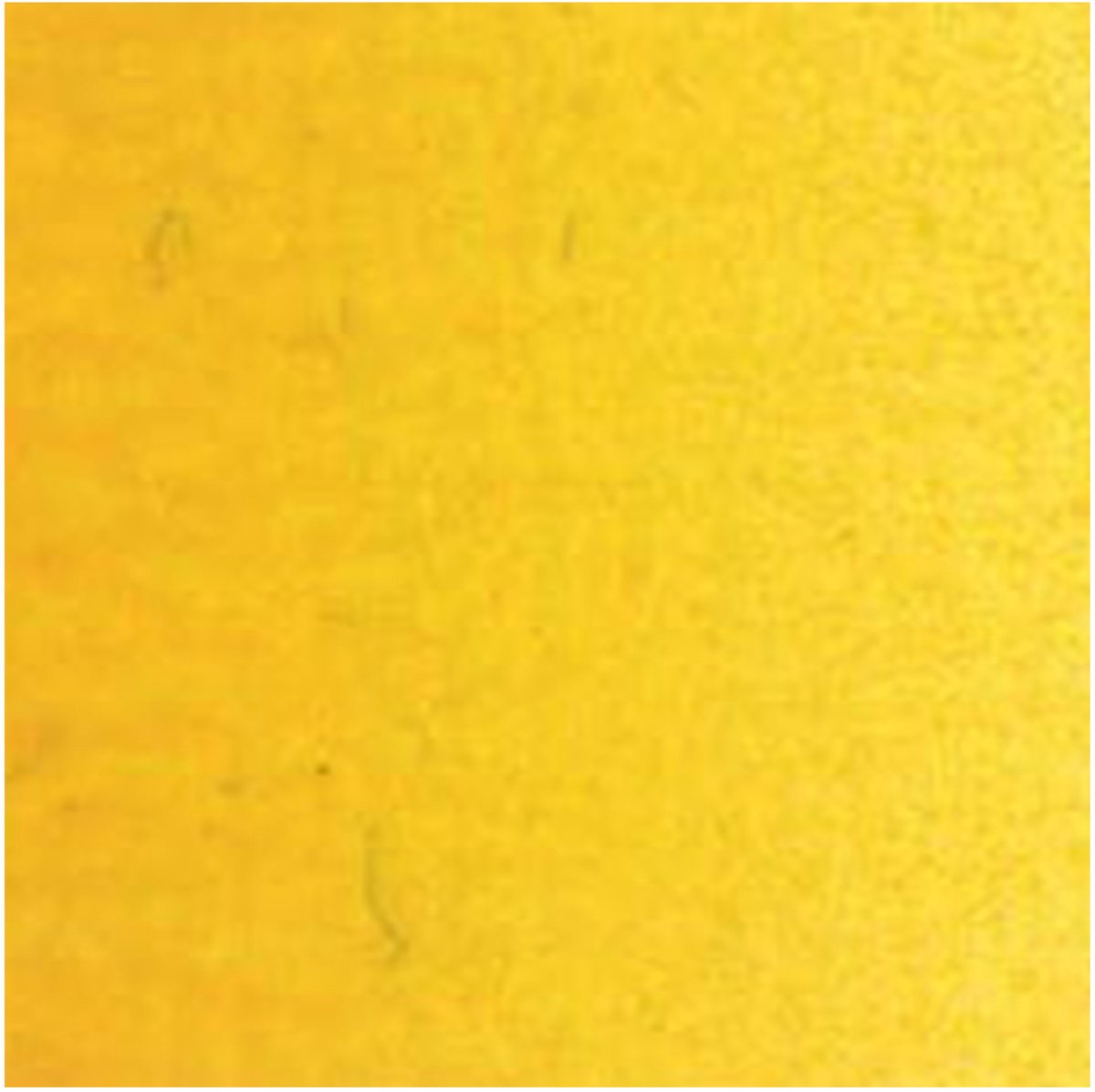 Van Gogh Ölfarbe Tube – 40 ml 244 Indischgelb