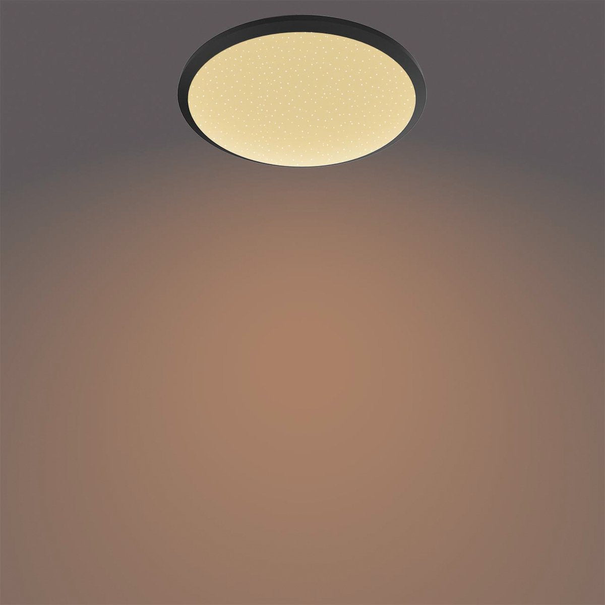 Philips LED Philips Deckenleuchte CL255 schwarz 12W 2700K