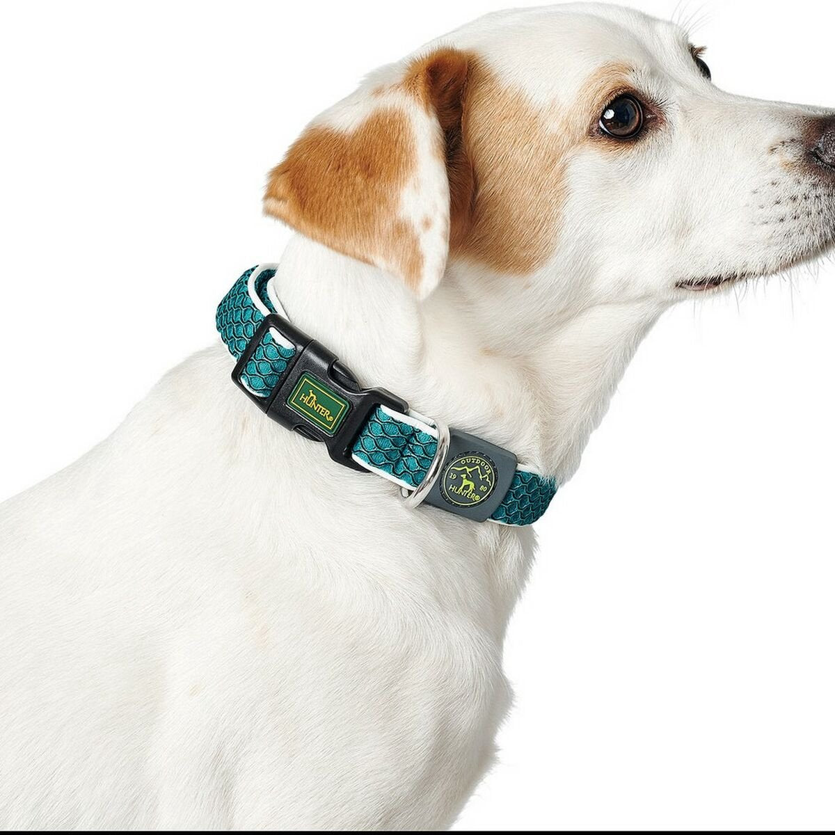 Hunter Hundehalsband Basic Thread Blau Größe M (33-50 cm)