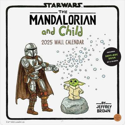 Star Wars: Der Mandalorianer und das Kind