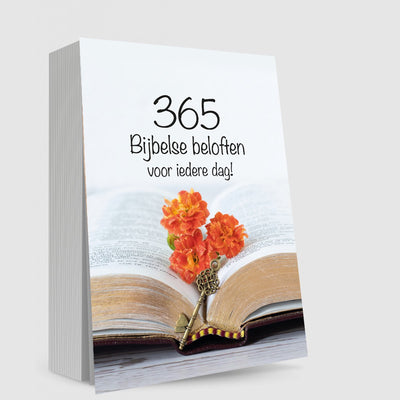 Brandless sans marque 365 biblische Versprechen