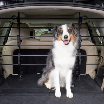 Petsafe Happy Ride Metall-Hundebarriere – sicherer Metallrahmen für den Kofferraum des Autos – kein Werkzeug erforderlich – klapperfrei