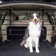 Petsafe Happy Ride Metall-Hundebarriere – sicherer Metallrahmen für den Kofferraum des Autos – kein Werkzeug erforderlich – klapperfrei