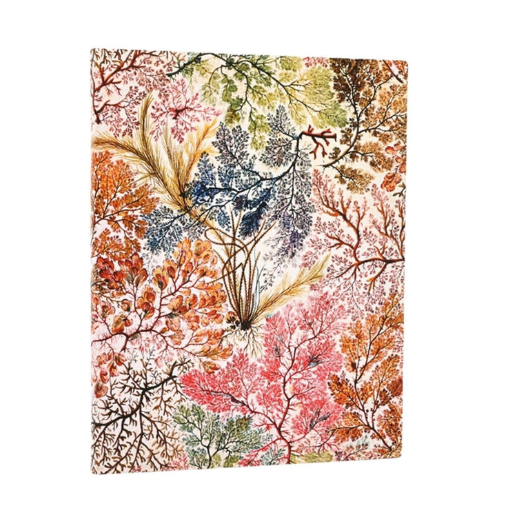 Paperblanks Anemone William Kilburn Softcover Flexis Ultra gefüttertes Gummiband 176 S. 100 g/m²