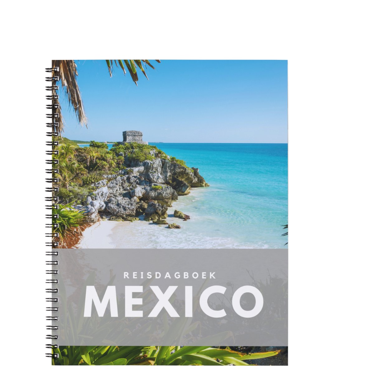Anika Redhed Mexiko-Reisetagebuch