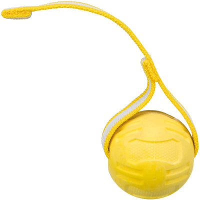 Trixie Sportball bei Lint TPR Floating Assorti
