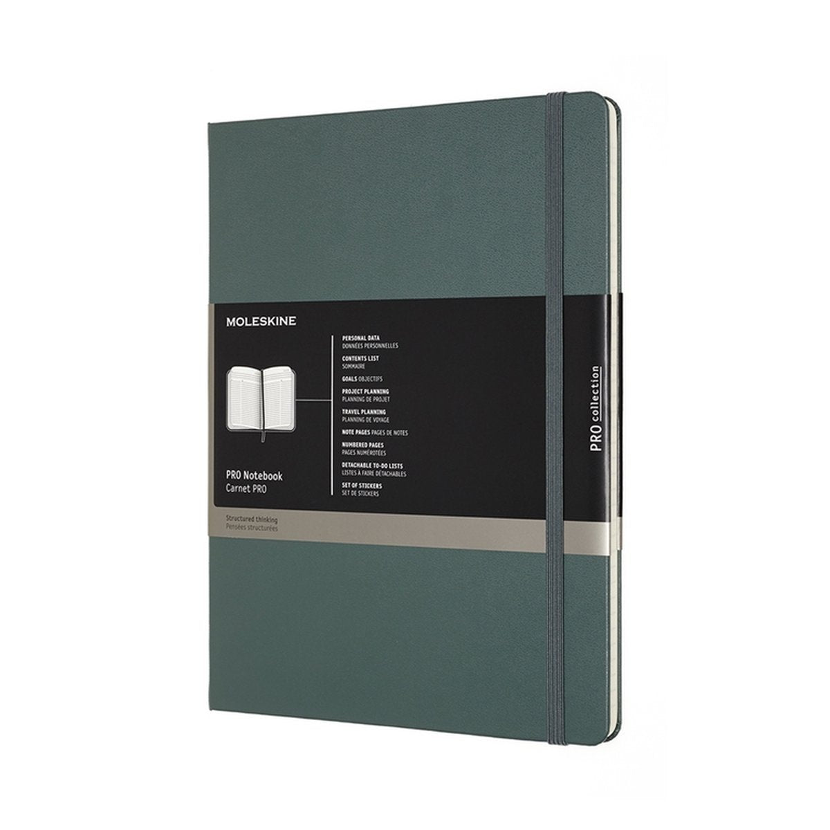 Professionelles Moleskine-Notizbuch – extra groß – Hardcover – Waldgrün