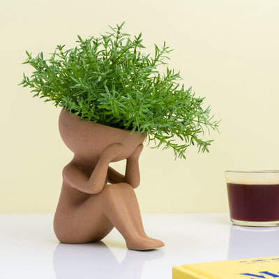 Winkee-Pflanzen in meinem Hauptblumentopf