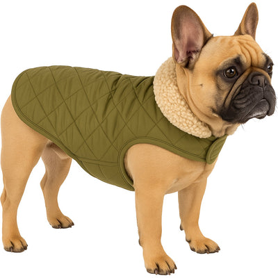 Flamingo-Hundemantel – Bonnie – Hundemantel – Winter-Hundejacken – wasserdichter Hundemantel – 35 cm – A: 35 cm, B: 34–38 cm, C: 50–54 cm – grün